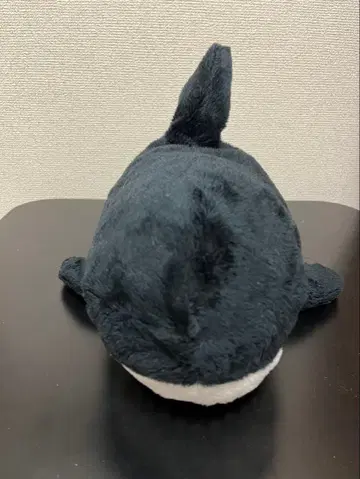 꽉 물어요 CUT 상어 BIG 샤크