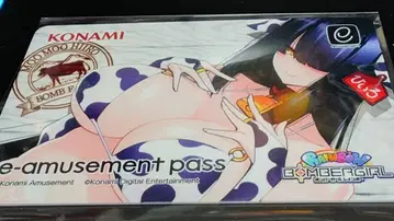 봄버걸 레인보우 e-amusement pass 히이로