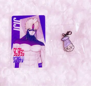 단단단 원화전 클리어 카드 메탈 참 지지 사시 호시코