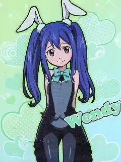 FAIRY TAIL 페어리테일 클리어 파일 [ Wendy ]