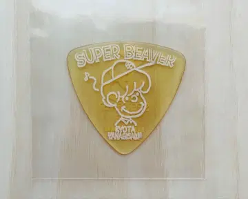 SUPER BEAVER 본인 라이브 사용 피크