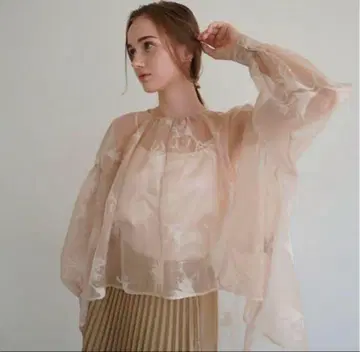 acka sheer over flare blouse