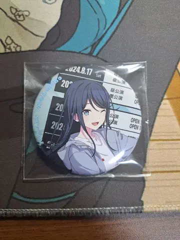 호시노 이치카 프로세카 프로젝트 세카이 매지컬 미라이 2024 캔뱃지