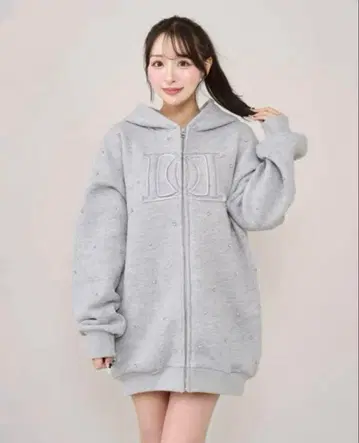 다리치 DD 로고 비쥬 지퍼 후드티 그레이