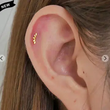 골드의 잎사귀 모양 러브레터 귀걸이 16G x 8mm