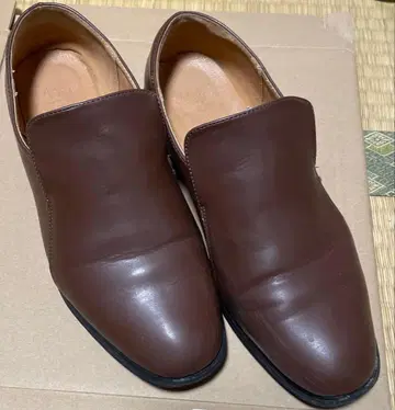 여성 신발 사이즈 LL