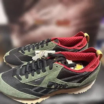 리복 LX2200 스트리트 파이터