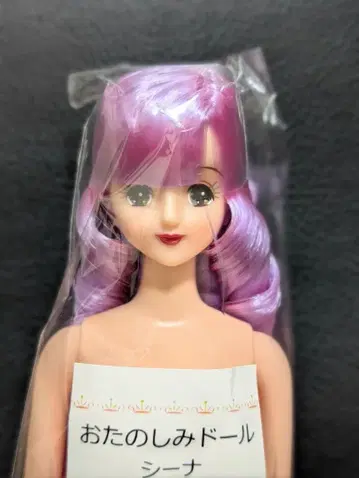 즐거운 인형 시이나 리카짱 캐슬 리틀 팩토리