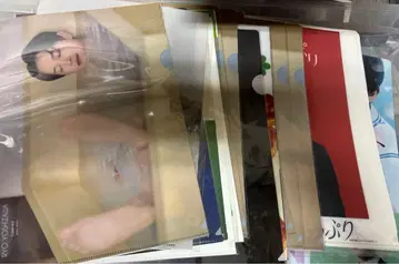 요시자와 료 클리어 파일 묶음 판매
