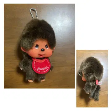 몽치치