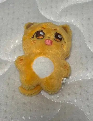 트와이스 지효 봉제 인형 마스터