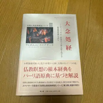 대념처경 위빠사나 명상의 전모를 밝히는 가장 중요 경전을 읽다