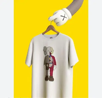 KAWS 카우스 L