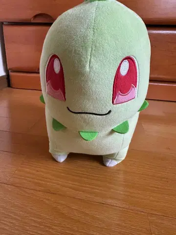 치코리타 봉제 인형 약 30cm