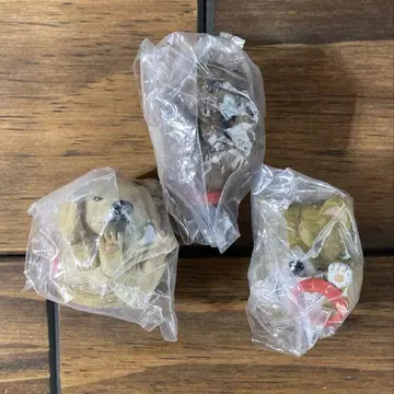 만마루 동물 만마루 강아지 장난꾸러기 편
