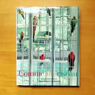 Comme un oiseau 1996 카탈로그