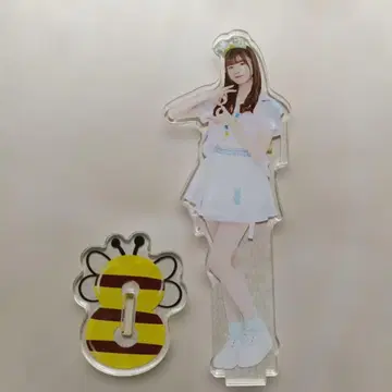 AKB48 하타야마 노조미 현명 머리띠 랜덤 아크릴 스탠드