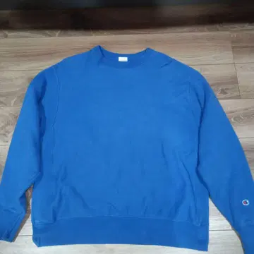 Champion reverse weave