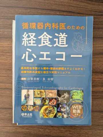 순환기내과 의사를 위한 경식도 심장 에코