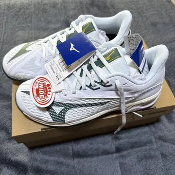 Mizuno WAVE EXCEED 6 SW OC 25.0cm 4E