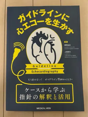 가이드라인으로 심장 초음파 활용하기