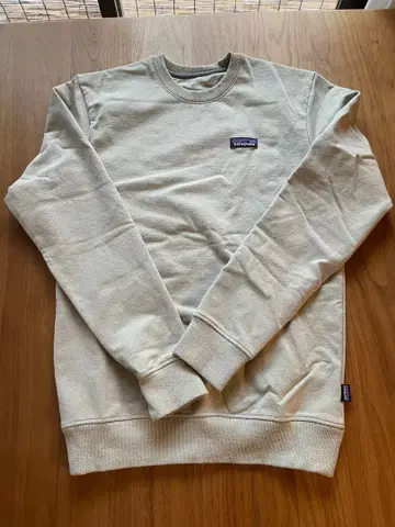 patagonia 파타고니아 데일리 크루넥 스웨트 셔츠 S