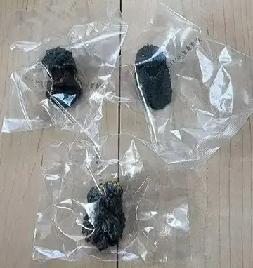 제일복권 고질라 괴수난무 날뛰는 것 E상 몬스터 헤드 마그넷 전종 3개