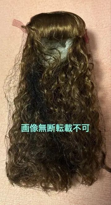 미사용 보관품 보크스 코디네이트 모델의 가발 12 SDM