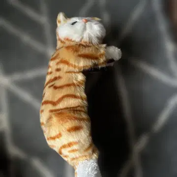 오렌지와 화이트 고양이 봉제 인형