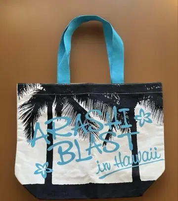 아라시 ARASHI BLAST in Hawaii 투어 백 하와이
