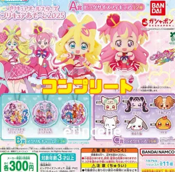 프리큐어 올스타즈 아소토 2025 컴플리트 컴프