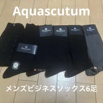 아쿠아 스큐텀 Aquascutum 남성용 비즈니스 삭스 6족 세트
