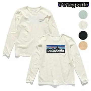 파타고니아 patagonia Responsibili-Tee