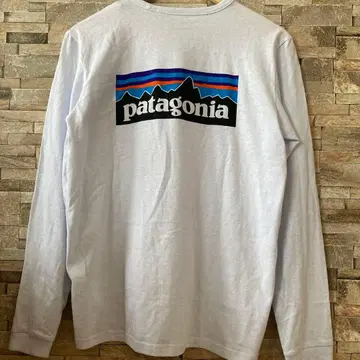 파타고니아 patagonia Responsibili-Tee