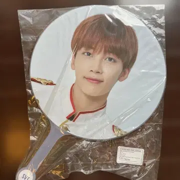 SVT 정한 부채 THE FINAL SCENE IDEAL CUT