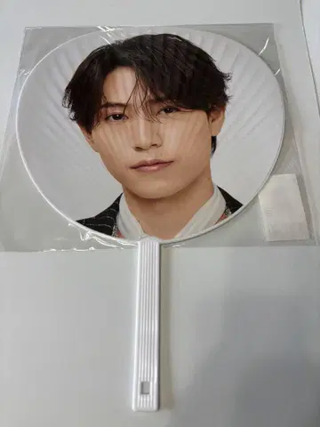 timelesz 하시모토 쇼세이 점보 부채