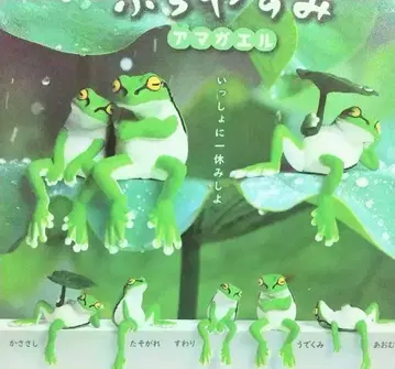 가장자리 휴식 청개구리