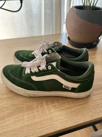Vans 다크 그린 스니커즈