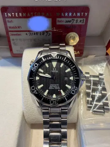 OMEGA 씨마스터 프로페셔널 손목시계