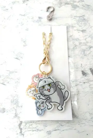 일하는 고양이 백참