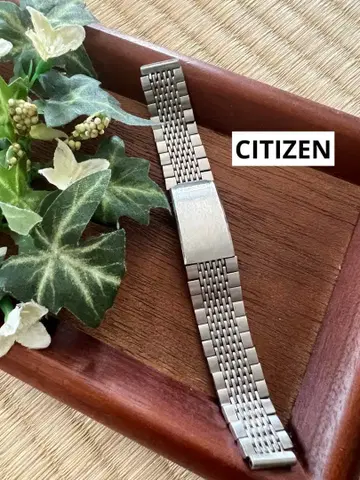 CITIZEN 스테인리스 스틸 메쉬 팔찌 시계 벨트
