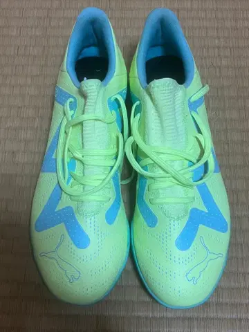 PUMA FUTURE PLAY TT 27.5cm