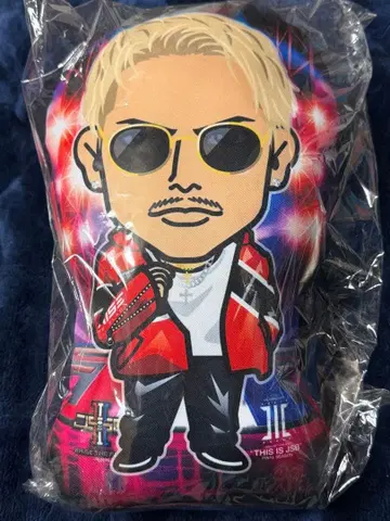 이마이치 류지 쿠션 RTF 빨간색