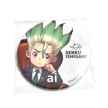 Dr.STONE 마루이 벌스데이 가족 사진 캔뱃지 이시가미 센쿠