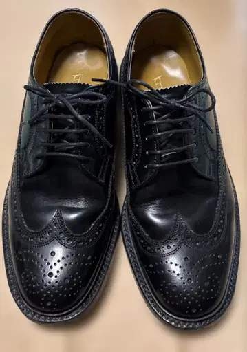 리걸 외 날개 롱 윙팁 2589 블랙