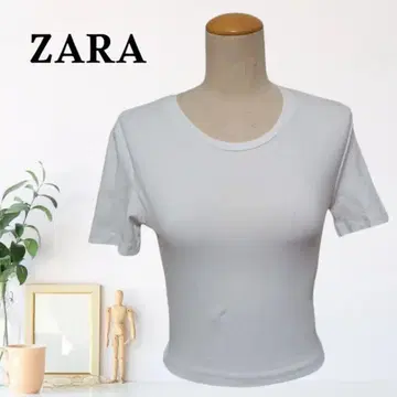 zB817 [ XS ] ZARA 천축 편직 저스트 핏 티셔츠 크루넥