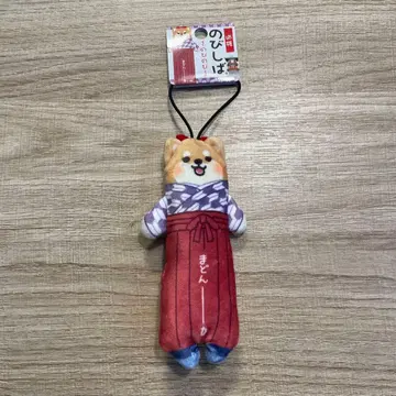 에히메 도고 노비시바 마돈나