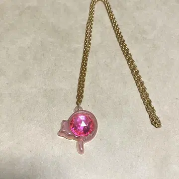 세본스타 고양이