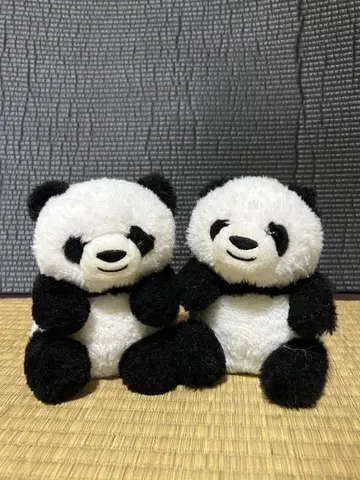 시라하마 팬더 복권 팬더 봉제 인형 2체 세트