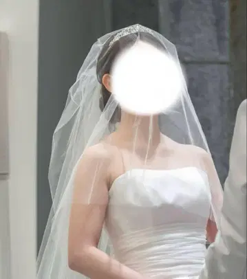 알파블랑카 웨딩 베일 쉬폰 롱 타입